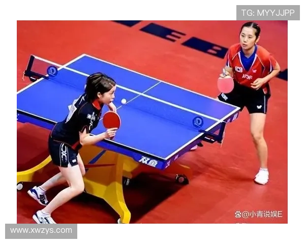 南京排球队在锦标赛中的战术运用与表现分析探讨