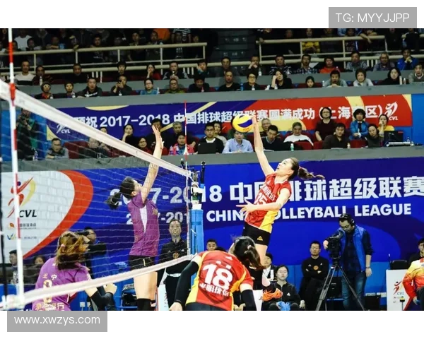 杭州排球队的奋斗历程：一段不屈不挠的排球精神之旅